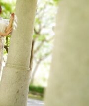 MUSUME-031823_01