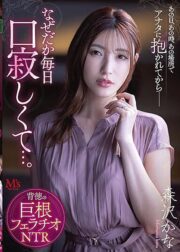 MVSD-541