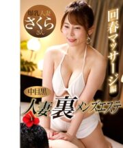 NHMSG-048 (Uncen)