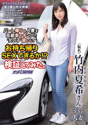 NNPJ-391