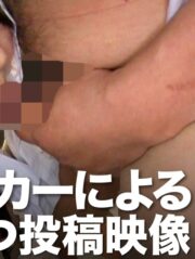 OTIM-264