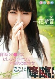 POKA-002