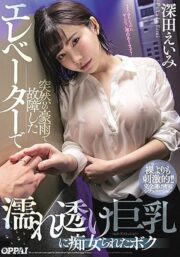 PPPD-853 (Uncen)