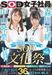 SDJS-183