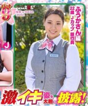 SDMM-13102