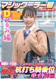 SDMM-13203