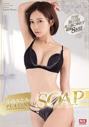 SSIS-027