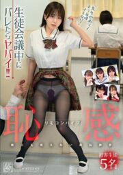 DSJH-012