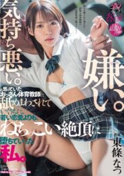 DASS-645
