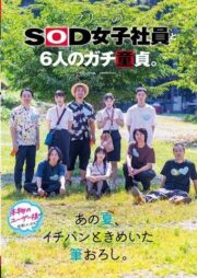 SDJS-347