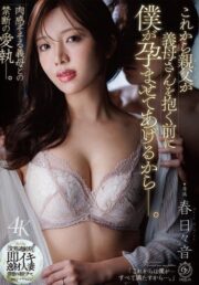 DLDSS-510