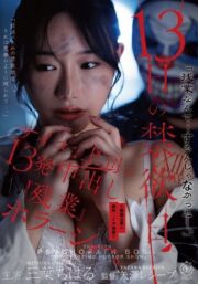 DLDSS-524