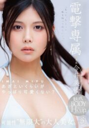 DLDSS-527