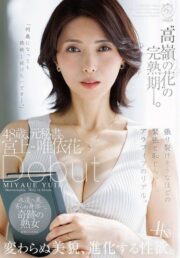 DLDSS-528
