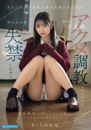 IPZZ-924